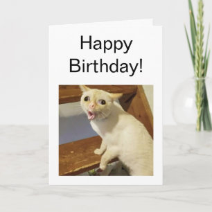 Kartenhalterung Karte