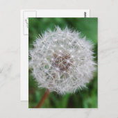 Kartenleuchter Postkarte (Vorne/Hinten)