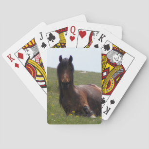 Kartenspiel, ruhendes Pferd Spielkarten