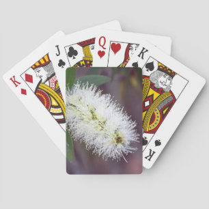 Kartenspielen mit Pflanze-Foto Spielkarten