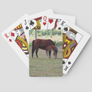 Kartenstapel, fotografierende Pferdefamilie beim G Spielkarten