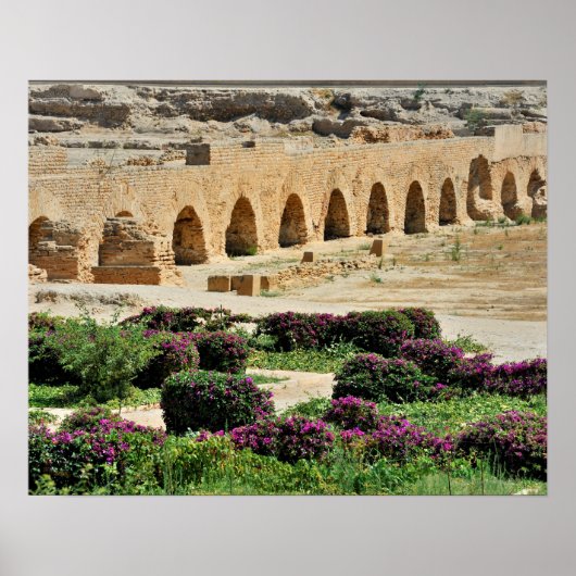 Karthago antike Stadt Punic zerstört und Poster (Vorne)