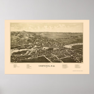 Karthago, NY panoramische Karte - 1888 Poster