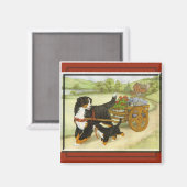 Kartierung Magnet (Vorderseite/Rückseite)