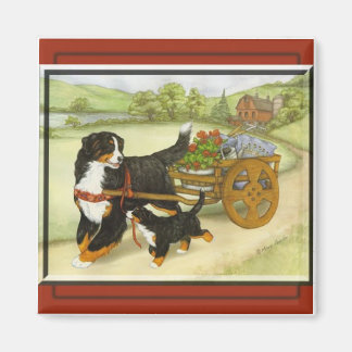 Kartierung Magnet