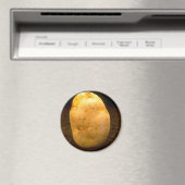 Kartoffel auf Schmutz Magnet (In Situ (Geschirrspüler))