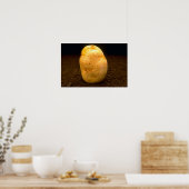 Kartoffel auf Schmutz Poster (Küche)