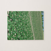 Kartoffel-Feld 3 Puzzle (Horizontal)