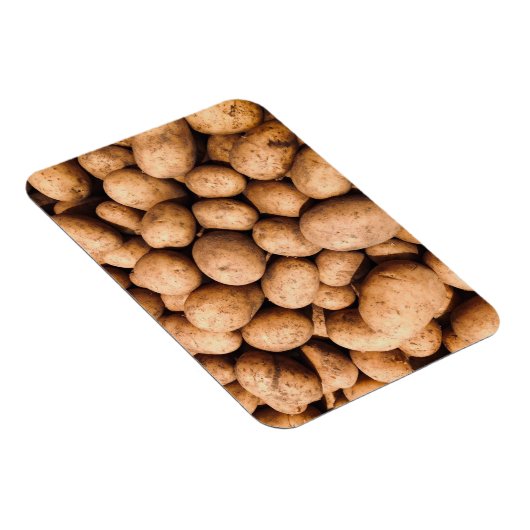 Kartoffel Magnet (Rechte Seite)