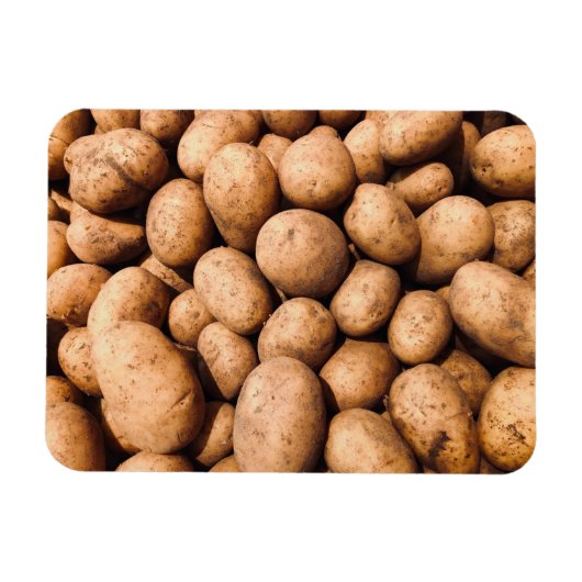 Kartoffel Magnet (Horizontal)