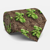 Kartoffel-Pflanze Krawatte (Gerollt)