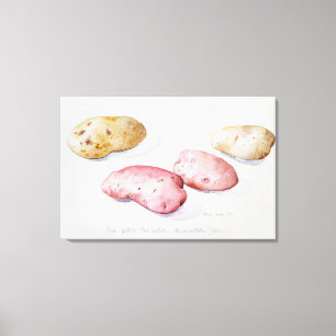 Kartoffel-Studie 1993 Leinwanddruck