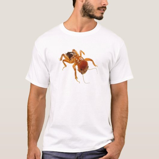 Kartoffel-Wanze T-Shirt (Vorderseite)