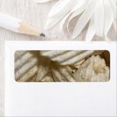 Kartoffelchips (Insitu)