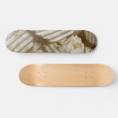 Kartoffelchips Skateboard (Horizontal)
