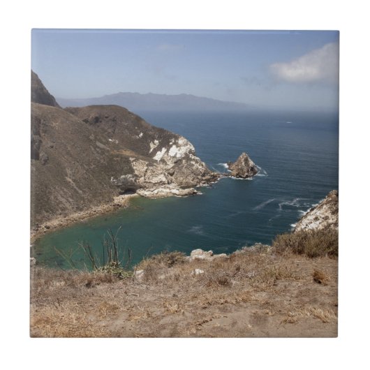 Kartoffelhafen Fliese (Vorderseite)