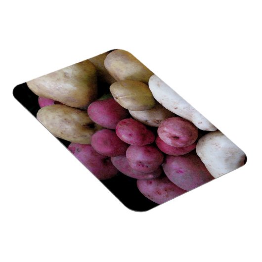 Kartoffelmagnet Magnet (Rechte Seite)