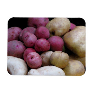 Kartoffelmagnet Magnet