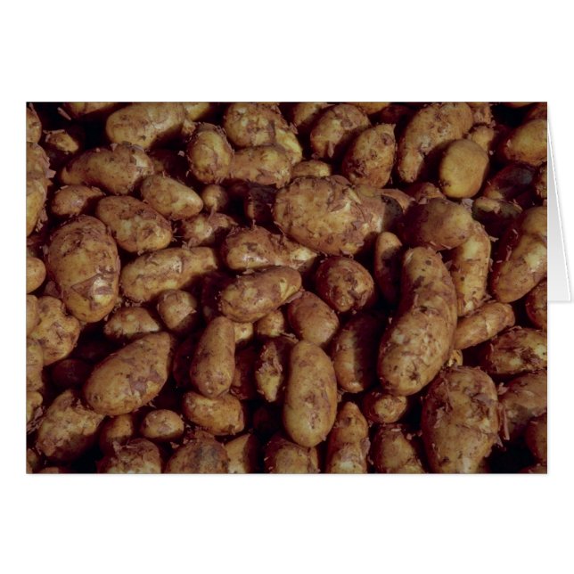 Kartoffeln (Vorderseite (Horizontal))