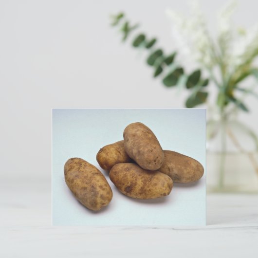 Kartoffeln Postkarte (Stehend Vorderseite)