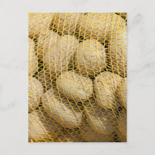 Kartoffeln Postkarte
