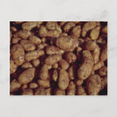 Kartoffeln Postkarte (Vorderseite)