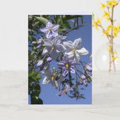 Kartoffelwein Karte (Gelbe Blume)