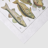 Kartographie Seidenpapier (Detail)