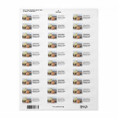 Karton für Küken und Eier mit braunem Ei (Vorne)