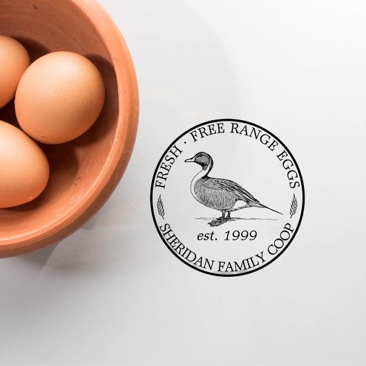 Karton Promo für Vintage Enten Gummistempel