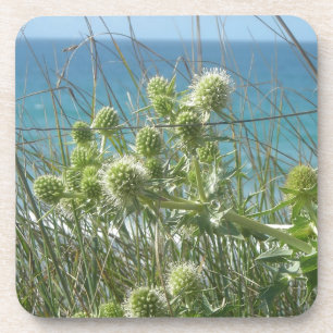 Kartonen Untersetzer