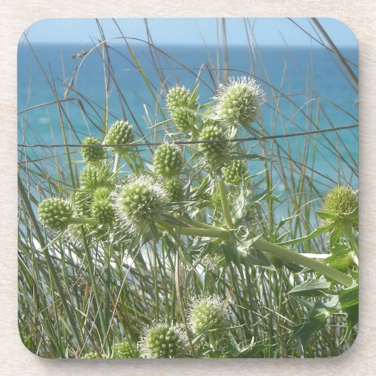 Kartonen Untersetzer (Vorderseite)