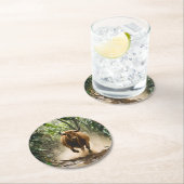 Kartonnen Onderzetter Runder Pappuntersetzer (Vor Ort)