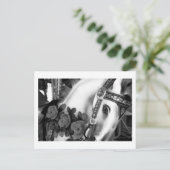 Karussell 25 Postkarte (Stehend Vorderseite)