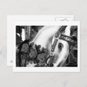 Karussell 25 Postkarte (Vorne/Hinten)
