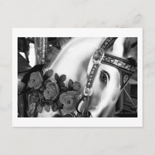 Karussell 25 Postkarte (Vorderseite)