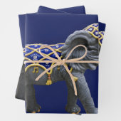 Karussell-Foto-Umschlagpapier für Tiere Geschenkpapier Set (Beispiel)