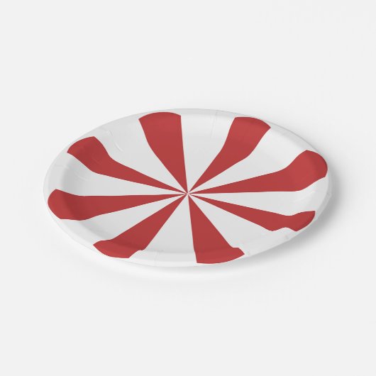 Karussell-Geburtstag Pappteller (Schrägansicht)