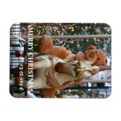 Karussell mit Teddy Bear Magnet (Horizontal)