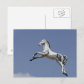 Karussell Postkarte (Vorne/Hinten)