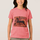 Karussell Tri-Blend Shirt (Vorderseite)