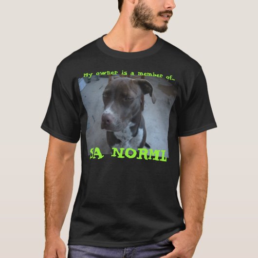 Kaschmir/Norml T-Shirt (Vorderseite)