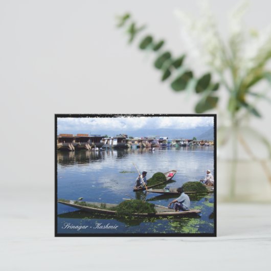 Kaschmir, Srinagar - Urlaub am Dal Lake / Indien Postkarte (Stehend Vorderseite)