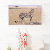 Käse Banner (Insitu)