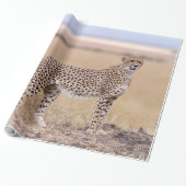 Käse Geschenkpapier (Ungerollt)