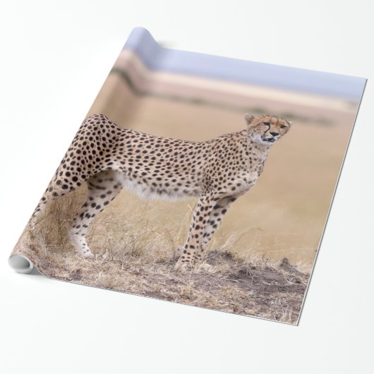 Käse Geschenkpapier (Ungerollt)