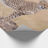 Käse Geschenkpapier (Ecke)