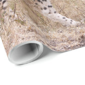 Käse Geschenkpapier (Rolleneckpunkt)