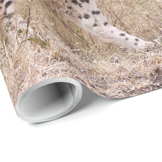 Käse Geschenkpapier (Rolleneckpunkt)