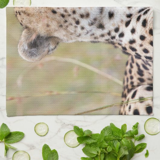 Käse Geschirrtuch (Gefaltet)